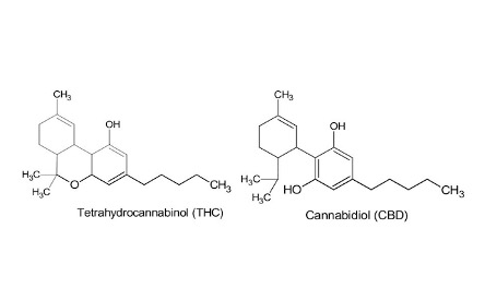 Was ist CBD?